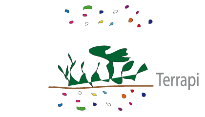 TERRAPI